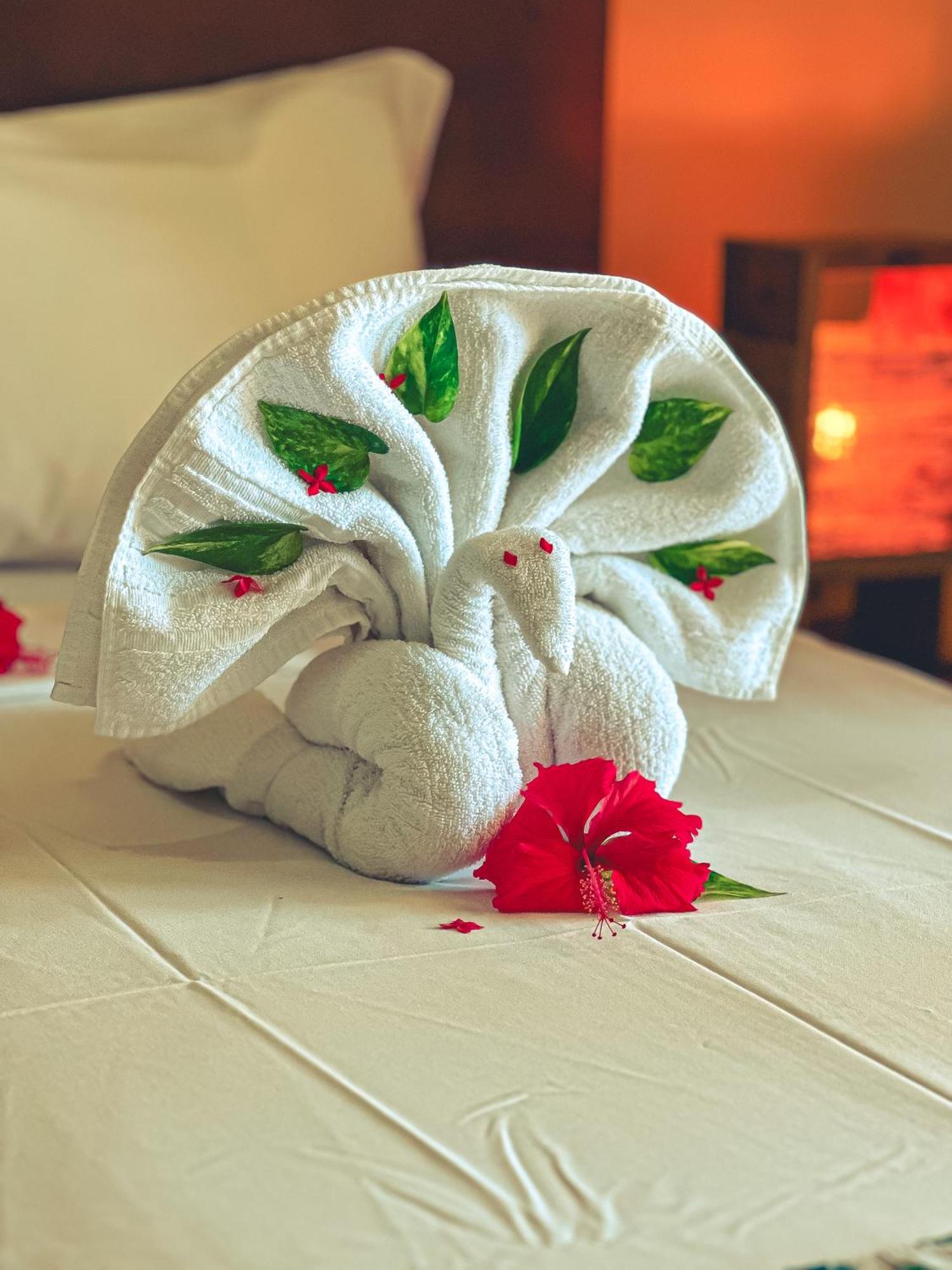 Igarakue Hotel Pousada جاباراتينغا المظهر الخارجي الصورة